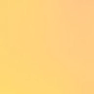 Meet your Posher, Sarantos